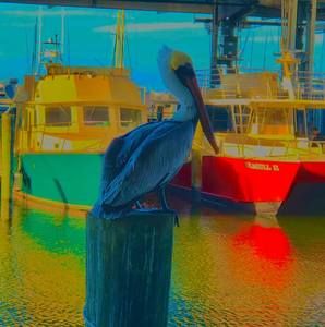 Meet your Posher, Johnathen